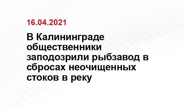 onf.ru