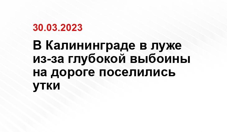 Татьяна Батыршина