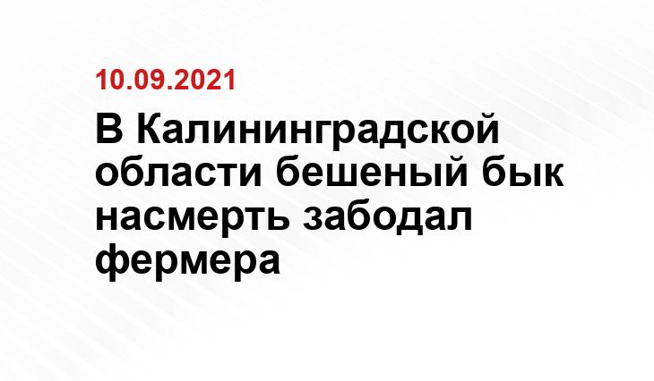 yandex.ru