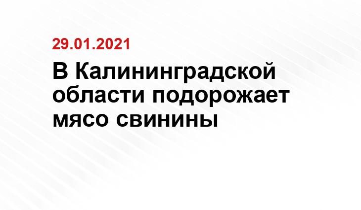nadezhdabs.ru
