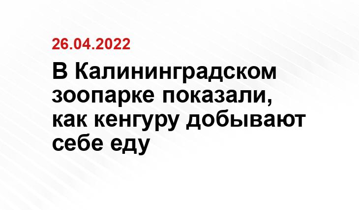 facebook.com/Развитие Калининградского зоопарка