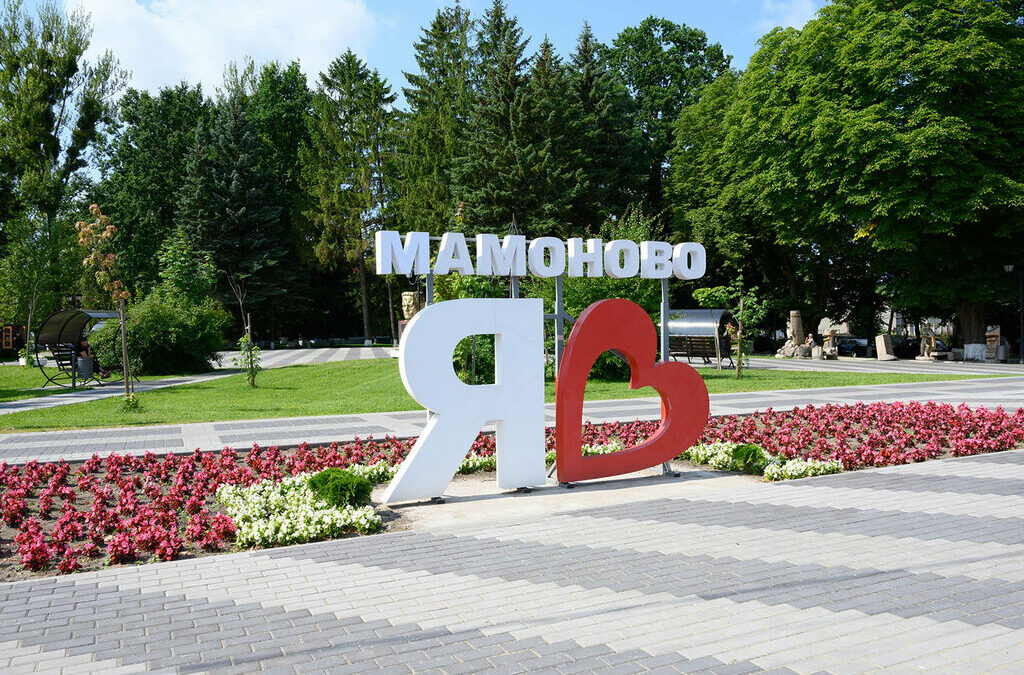 В Калининградской области в Мамоново готовятся к возведению нового ФОКа yandex.ru