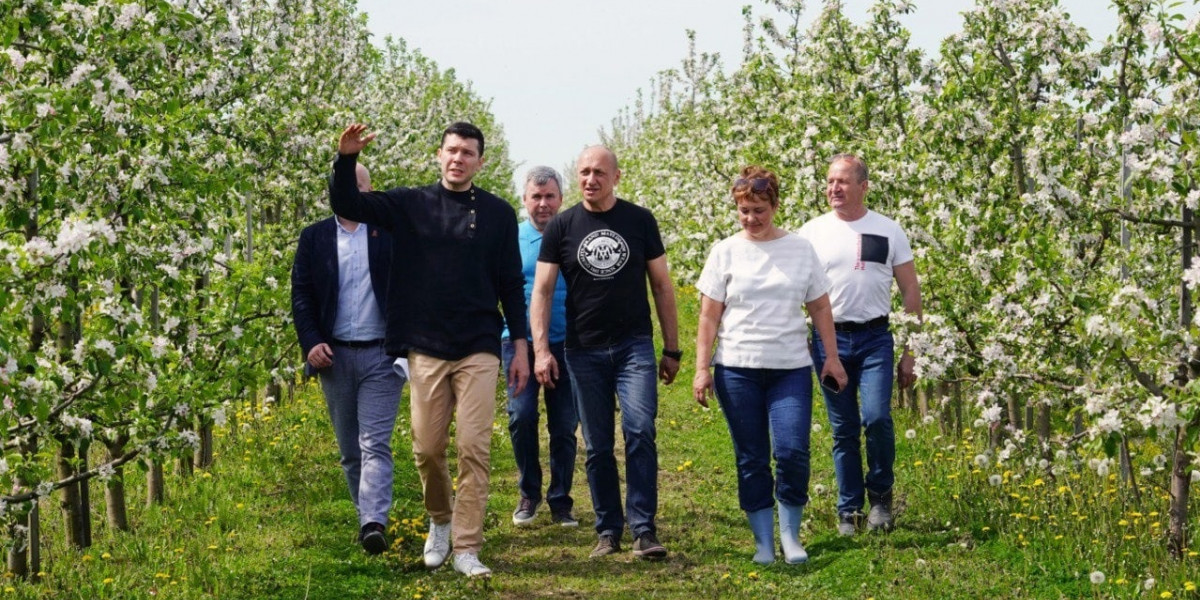 Калининградский губернатор рассказа о развитии садоводства в регионе gov39.ru