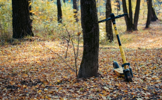 Самир из Красноярска получил самокат от Министерства иностранных дел России Самир из Красноярска получил самокат от Министерства иностранных дел России