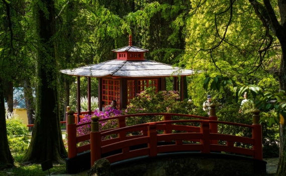 Нет батарей, нет отопления: как японцы переживают зиму при 16 градусах в доме