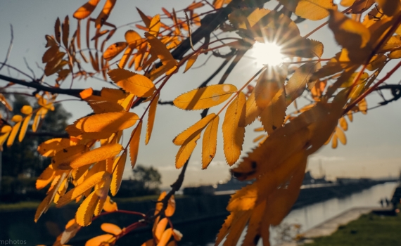 4 ноября Марс перевернёт жизнь 4 знаков: Водолей получит сигнал к действию, а другие — силу власти