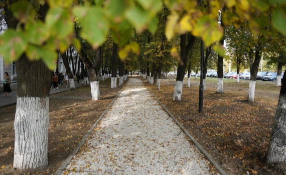 8 ноября Венера и Плутон обнажат скрытое: 4 знака получат ответы на вопросы — Телец, Рак и не только 8 ноября Венера и Плутон обнажат скрытое: 4 знака получат ответы на вопросы — Телец, Рак и не только