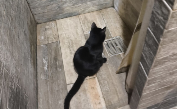 Плитка VS Кварцвинил в ванной: пол, который хочется трогать — дуэль, в которой победитель, очевиден Плитка VS Кварцвинил в ванной: пол, который хочется трогать — дуэль, в которой победитель, очевиден